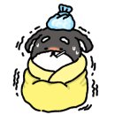바람부리명태찜 이미지