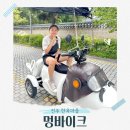 이색체험마을 | 전주 여행 이색체험 한옥마을 놀거리 멍바이크 가볼만한곳