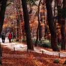 보은 삼년산성 이미지