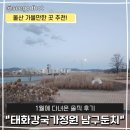 태화강국가정원 | 울산 태화강국가정원 남구둔치 다녀온 솔직 후기
