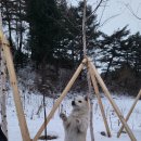 으지네민박 이미지