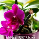 여류시인 이채님과 함께 행복한 7월 맞으세요 이미지