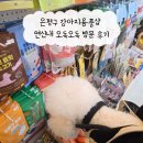 강아지당 | 은평구 강아지용품샵 연신내 오독오독 방문 후기