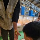 장성공설운동장 11 이미지