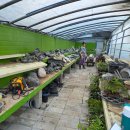 카페 나리지 이미지