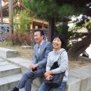 창덕궁 그리고 종로에서 ... 이미지