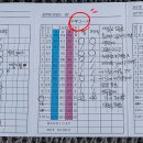 글로아 이미지