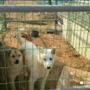 청목농장 이미지