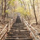 광덕1리 | 천안 광덕산(11.16)