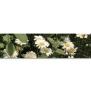 수원-0642 이미지