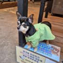 240506~15 이런저런 생각들
