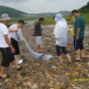 하늘마당펜션B 이미지