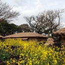 제주초가집 이미지