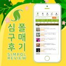 수정다육 | [2/4] 심폴 생생 구매후기 🌱💚💯 (동백블랙매직, 대창수정진주, 일본비올라팬지)