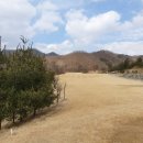 에콜리안 정선골프장 골프연습장 이미지