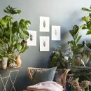 식물 인테리어 이미지