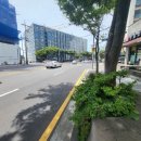수피아제주 이미지