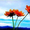 가을향기를 담은 향수 이미지