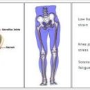 숲속의헬스 이미지