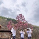 산골하루스테이 이미지