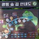 한빛공원(3) 이미지