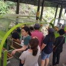 반딧불 자연휴양림 이미지