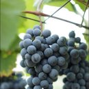 재우농장 이미지