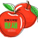 [10월 정모 후기] 진도에서 엘레강스한 1박 2 이미지