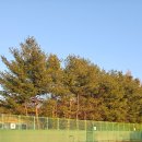 수내시립테니스장 이미지