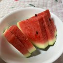 승복농장 | 나츠야쓰미 - 7月🍉