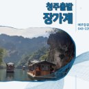 토탈여행사롯데관광
