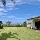 우도피아 이미지