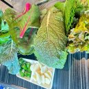 상신하길로298번길R 이미지