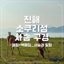 명동 선착장 이미지