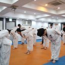 박사 엘리트 태권도 이미지