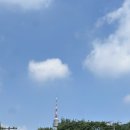 수 갤러리&카페 | 서울 재물운 명당! 그랜드 하얏트 갤러리 카페 방문 후기 | 가면 꼭 해야 할 꿀팁🍀