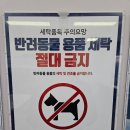 보성세탁 이미지