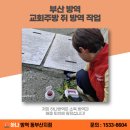 교회백화점 | 부산 동구 방역업체 교회 주방 쥐 먹이 작업으로 깔끔한 현장 후기