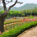 장미원입구 이미지