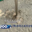 곡선초등학교 이미지