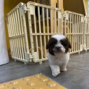 뱅뱅 홍성 이미지