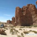 까멜리오 이미지