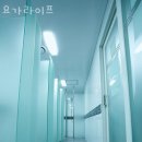 서초구 서초동 요가 요가라이프 운영시간 접근성 가격
