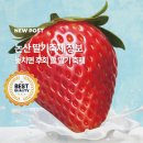 환호농장 | 아이들도 어른들도 환호! 논산딸기축제 놓치면 후회! 축제정보 초청가수 헬기정보