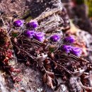 (주)동강 이미지