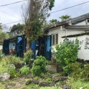 위미사랑하우스 이미지