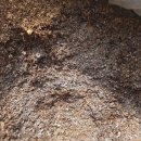 박상민농장 이미지