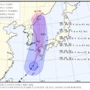 고니 PC 이미지
