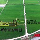 중앙케미칼(주) 이미지