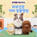 커비동물병원 이미지